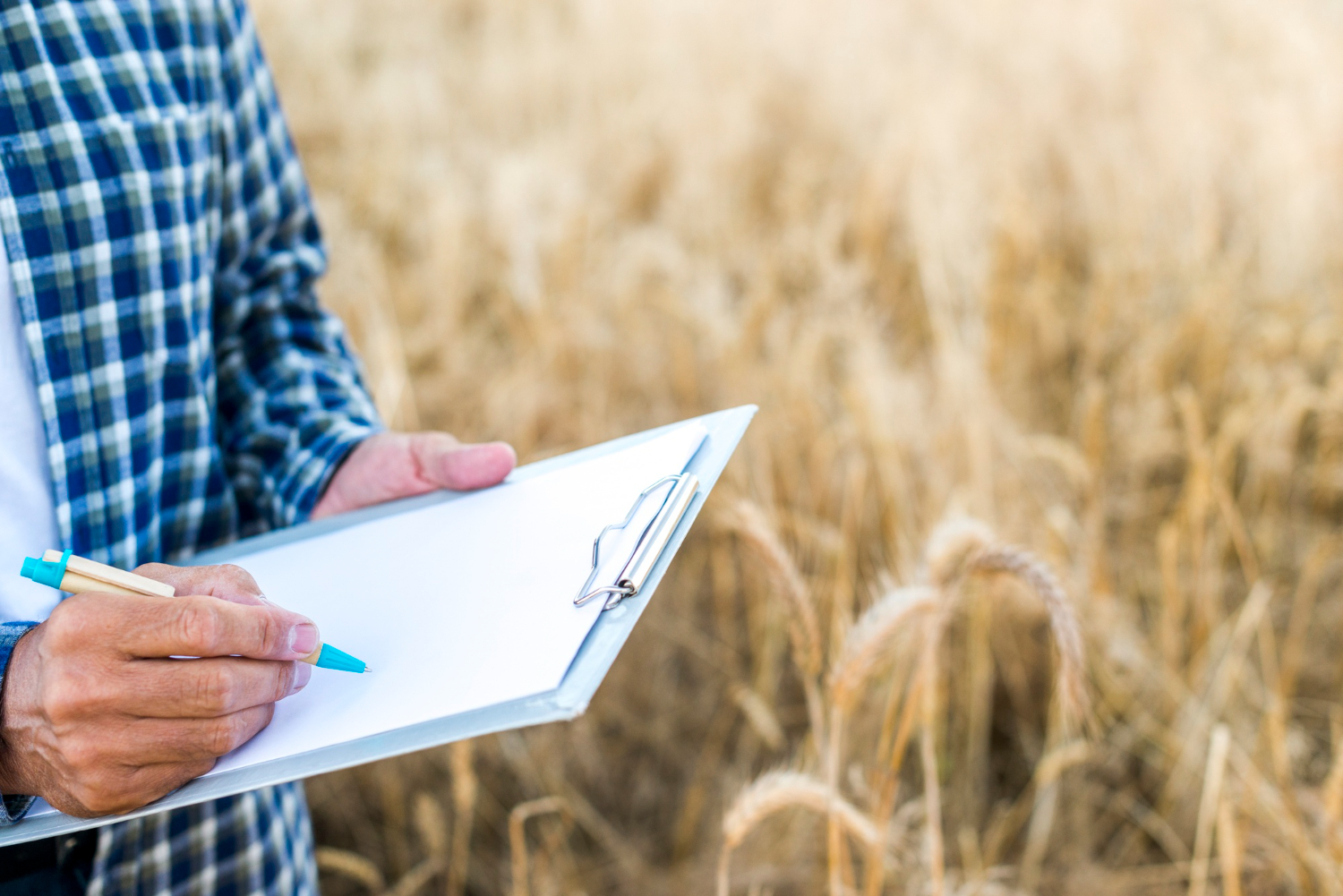 Understanding Crop Insurance: Safeguarding Your Agricultural Investment