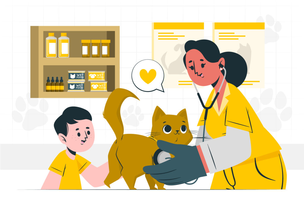 The Ultimate Guide to Pet Insurance: Is It Worth It?