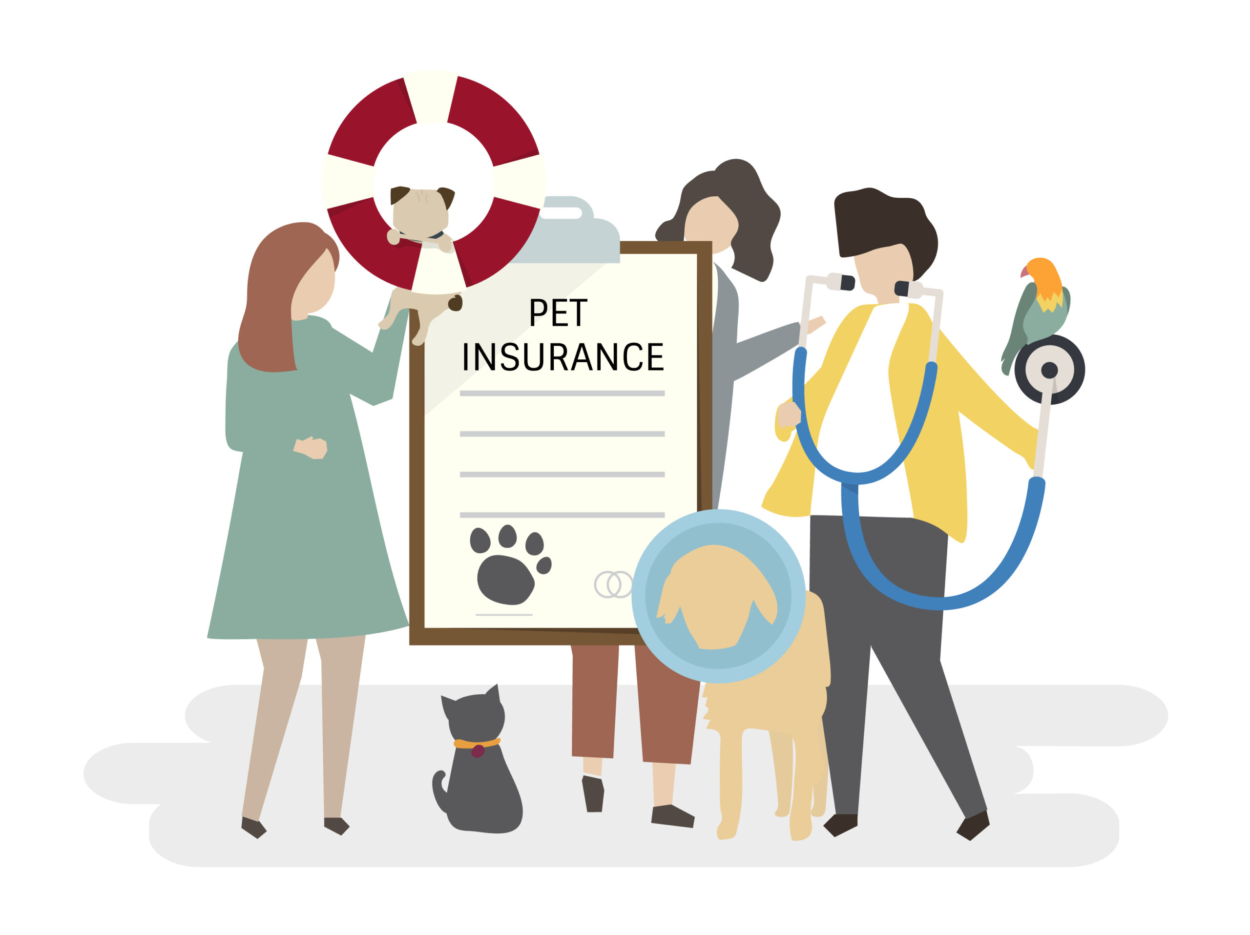Pet Insurance: What It Is and Why You Need It