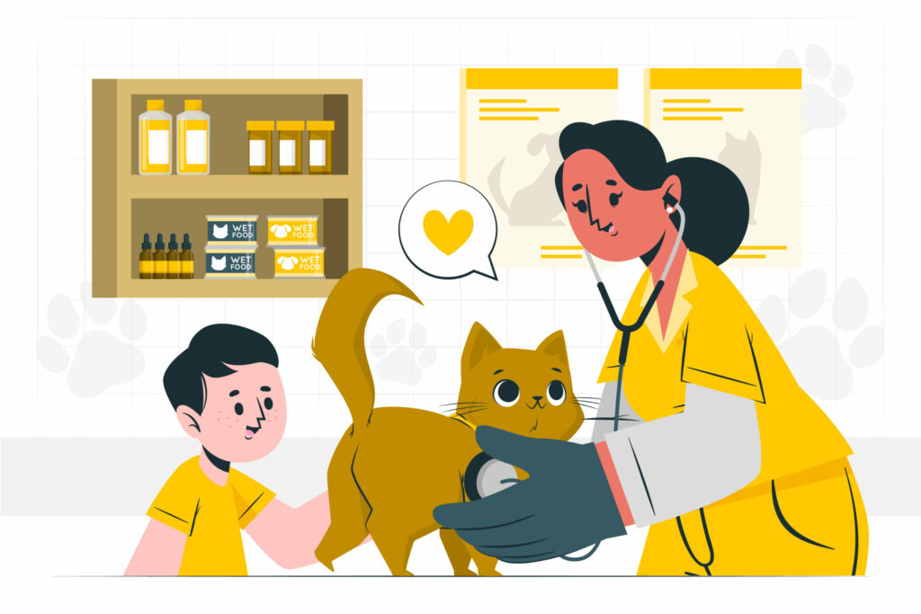 The Ultimate Guide to Pet Insurance: Is It Worth It?
